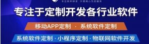 揭示專業(yè)軟件開發(fā)和定制公司的需求。</a>